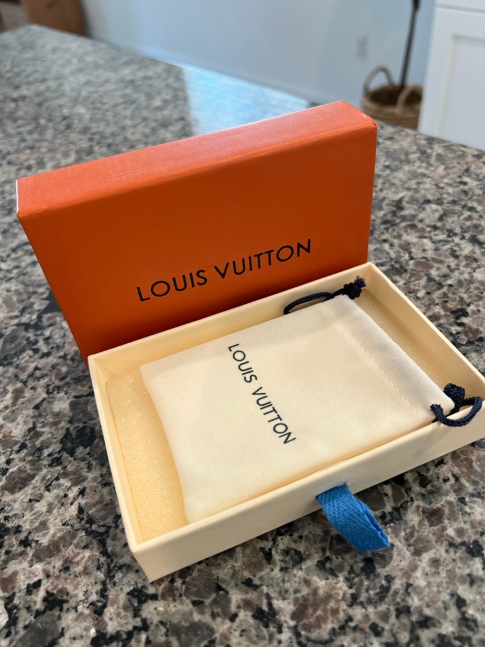 Lot of Louis Vuitton Paper Gift Bags, Boxes and Cards - Picture 11 of 16